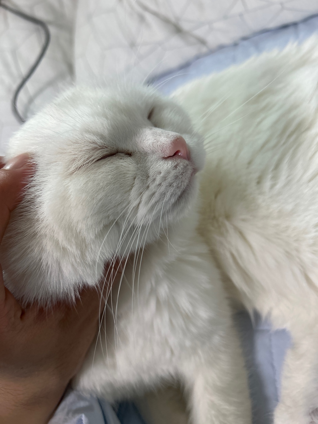 박호용